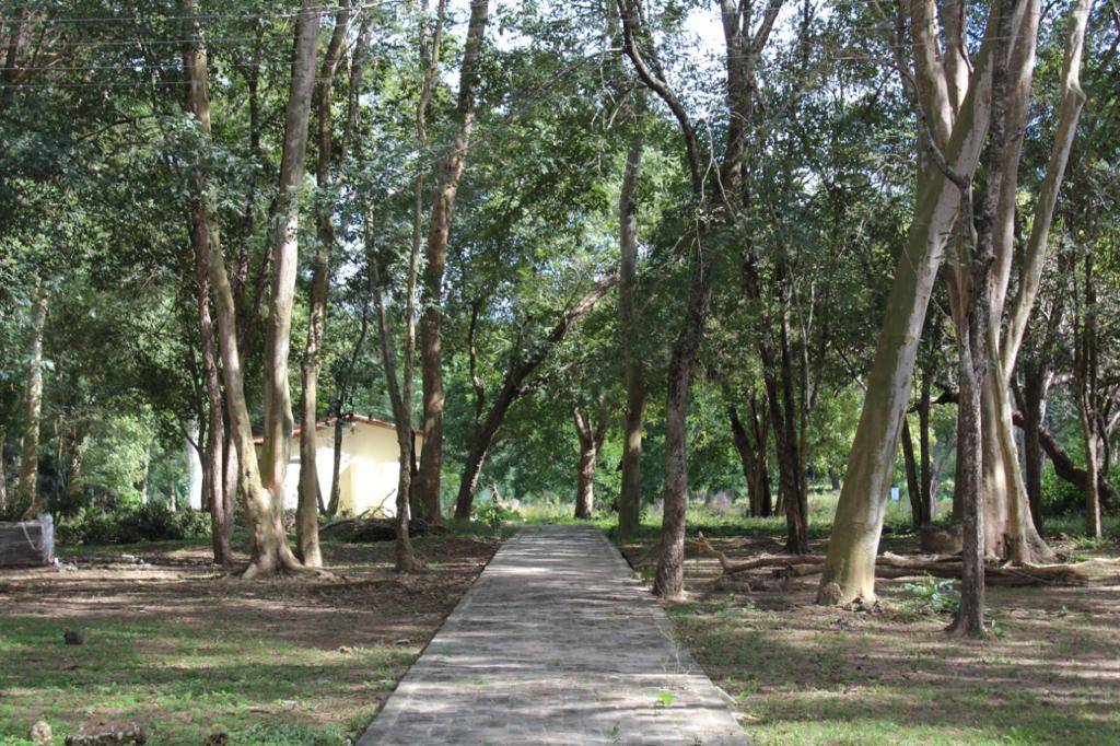 PPP do Zoobotânico de Teresina fará mapeamento de todas as árvores do parque